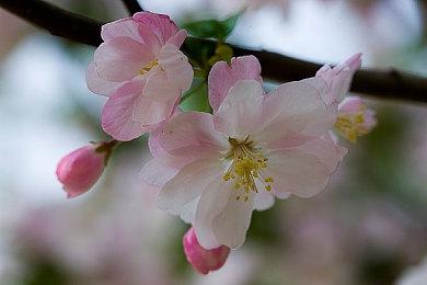 《战神：诸神黄昏》叙事总监确认新作依然为一镜到底